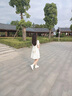 燕浔法式方领碎花连衣裙子女夏装2025年新款收腰显瘦气质小个子 图片色 M (建议90-100斤) 实拍图