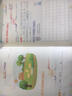 一年级下册同步训练语文 人教部编版同步作业周周练 随堂练习册 看图写话+阅读理解 共2册 实拍图