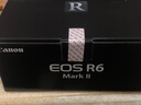 佳能（Canon） EOS R6 Mark II全画幅微单相机r6 2二代专业微单 Vlog数码相机 R6二代单机+佳能R转接环 官方标配【无必备配件摄影大礼包~推荐购买套餐】 实拍图