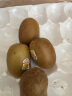 佳沛（zespri）新西兰阳光金奇异果25-27粒原箱单果约124-146g 水果 猕猴桃 实拍图