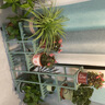 蜗家（WOJIA） 花架子客厅落地式置物铁艺简约现代多肉绿萝花盆架可移动花架 乳白色【长70宽24高78cm】 实拍图