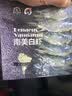 渔公码头 海捕大虾白虾 可剥虾仁 冷冻大虾生鲜虾类 1650g(净重)  规格2030 实拍图