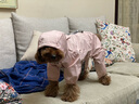 憨憨宠狗狗雨衣狗衣服小型犬全包四脚反光户外防风保暖冲锋衣服防水雨披 粉色 XL号建议体重8-10斤 实拍图