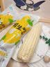 骑猴赶马漳州牛奶玉米【顺丰】生吃即食玉米新鲜采摘代餐爆浆牛奶水果玉米 【顺丰/JD】牛奶玉米 1.1斤 【2根】 【约2根】 实拍图