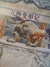 万物变形记（国内首部插画版《变形记》 大师级托尔金画师、奥斯卡得主、《指环王》艺术指导艾伦·李插画） 小说 实拍图
