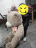 捉趣熊公仔毛绒玩具大号熊娃娃超软泰迪熊玩偶陪睡抱枕女生日520礼物 花朵熊【棕色】 100cm 实拍图