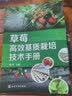 草莓高效基质栽培技术手册（现代化无土高效益栽培草莓）果农必备无土栽培农业技术草莓种植技术 实拍图
