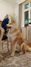 爱思得（ASCENDAR）全价中大型犬成犬狗粮天然粮 进口配方犬主粮3.6KG（1.8*2） 实拍图