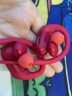 适用Beats powerbeats pro无线蓝牙耳机硅胶套耳帽耳塞耳机套Flex耳套耳帽耳机配件 熔岩红耳套【一套8只】送收纳盒 实拍图