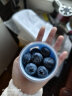 御京鲜小懒杯蓝莓水果特大果礼盒装怡颗小蓝莓应季孕妇宝宝新鲜水果 【蕞划算】6罐丨360g 出口级品质 单果18mm+ 晒单实拍图