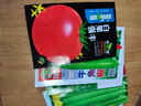 播种心情家庭种植蔬菜种子大全四季播种阳台盆栽农家庭院小菜园有机香菜菠 大番茄种子2包 实拍图