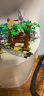 乐高LEGO 侏罗纪 世界 公园 恐龙 儿童拼装积木玩具 男孩礼物 小颗粒 75941 暴虐霸王龙大战甲龙 晒单实拍图