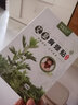仲古艾业艾草肩周贴 颈椎贴肩颈贴肩周炎贴艾灸膏富贵包贴颈肩酸麻热敷生姜天然颈椎膏贴 艾草肩颈贴【买1=2】2盒 实拍图