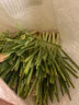 辰实香茅草【发顺丰】新鲜柠檬香茅香料菜 奶茶店泰国冬阴功汤原料 4斤香茅草【顺丰快递】 实拍图