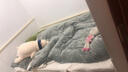 北极绒（Bejirog）加厚牛奶绒四件套冬季珊瑚绒双面法兰绒被套床单床笠轻奢加绒床品 山茶奶白+暖卡其【加厚牛奶绒】 1.2m 床单款 三件套-被套150*200cm 实拍图