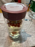 富光 大容量双层玻璃杯 带手柄商务男士办公杯 带盖茶杯 蓝色 380ml 实拍图