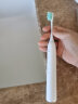 飞利浦（PHILIPS）sonicare 电动牙刷头 电牙刷替换头适配HX2421HX2431HX2451HX2461HX2462HX2471HX2482 HX2021/02 1支 实拍图