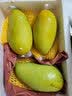果恋汇（GUOLIANHUI）现货海南三亚水仙芒新鲜特大芒果黄皮应季水果当季现摘整箱 净重5斤特大果 实拍图