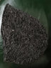 卡蒙（Kenmont）帽子女保暖加绒冬天韩版贝雷帽修脸型时尚百搭针织后托堆堆帽2540 深灰色 均码 57.5cm 实拍图