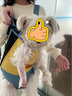 SLPC狗狗背包胸前双肩包小型犬比熊泰迪透气旅行便携包外出狗背带猫包 黄蓝 XXL(建议13-15斤内宠物) 实拍图