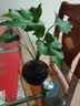 春沭 节日礼物春雨小型植物盆栽卫生间浴室办栽水培盆景花卉 春雨 含盆 实拍图