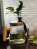 木笙玩物（MUSHENGWANWU）耐热茶水分离玻璃杯办公室泡茶杯过滤家用文艺水杯子男女个人专用 木笙初笙杯7B 实拍图