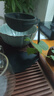 不拙玻璃公道杯茶漏一体茶水分离过滤器茶滤泡茶神器茶叶过滤网 1-半球无孔过滤组 实拍图