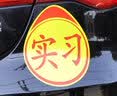 著力实习车贴新手上路汽车实习标志磁性贴纸女司机个性反光女新手标 车管所标准款反光(磁铁+吸盘) 实拍图