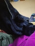 琼瑛 睡衣女秋冬加厚法兰绒两件套情侣睡衣男家居服套装 QY520A-男款藏青 XXL 实拍图