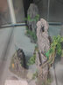 异景园鱼缸仿真假山造景装饰石头布景套餐水族箱大小树脂摆件躲避洞松石 峰下古佛 实拍图