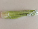 京鲜生山东新鲜西芹净重3斤 单棵约500g新鲜蔬菜 榨汁脆嫩无丝 源头直发 实拍图