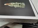 天下龙泉：龙泉青瓷与全球化·卷三·风行天下 实拍图