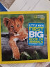 美国国家地理儿童百科 动物 National Geographic Little Kids First Big Book of Animals 进口原版 少年儿童科普 大开本 实拍图