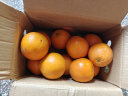 集南鲜 赣南脐橙 江西橙子新鲜现摘水果脐橙时令生鲜水果甜橙 水果礼盒 【特级橙】彩箱5斤（200-300g） 实拍图