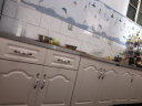 曲索寐简易橱柜灶台柜组合厨柜洗菜洗碗水盆厨房不锈钢碗筷柜组装水槽柜 120x50平面柜 实拍图