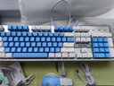 本手机械键盘有线键鼠套装 键盘鼠标猫耳朵耳机三件套背光可爱男女生台式电脑笔记本电竞游戏专用外设 白蓝（彩光）茶轴机械键盘 实拍图