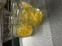 博咖（boncool） 酸奶瓶4个带盖甜品瓶子加厚玻璃果冻杯子家用布丁杯耐高温冷饮 100ml布丁瓶4个（配盖送勺） 实拍图