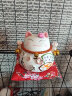 板谷山 招财猫日式装饰摆件陶瓷储蓄罐开业礼品女朋友生日礼物儿童 实拍图