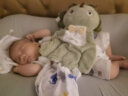 舒适宝（STRAFBRG）舒适宝 新生儿仿生睡床可移动婴儿床宝宝防压便携式床中床 湖水蓝 6-12个月 晒单实拍图