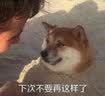 新世纪福音战士12 父与子 贞本义行编绘 eva简体中文版漫画单行本 动漫EVA新世纪福音战士明日香真嗣绫波丽人类补完计划 实拍图