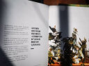 室内绿植完整手册2 我的植物生活新提案 实拍图