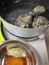 乐食港国产生蚝5斤装鲜活大个 牡蛎新鲜海蛎子山东贝类活鲜 XXXL号（5斤）约10-12个--推荐-- 实拍图