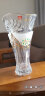 Glass /高斯水晶玻璃透明花瓶北欧欧式风格水培水养干花客厅家餐桌玄关居花器摆件 晒单实拍图