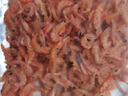 海鲜颂 红虾皮磷虾虾米海鲜干货虾仁煲汤熬粥 红毛虾 淡晒海产干货100g 实拍图