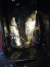 川泽螺旋尾浮漂鲫鱼漂加粗醒目防风抗走水野钓黑坑近视高灵敏鱼浮标 LX-08 (底钓罗非)吃铅1.5~2.2g 1号 醒目高灵敏 实拍图