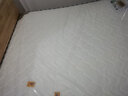 清寻（QINGXUN）床垫弹簧床垫天然乳胶椰棕硬棕垫床垫1.8x2米床垫子1.5x2米 精钢弹簧+针织面料+椰棕乳胶 1.5x2米 实拍图