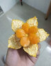 愉家（YUJIA） 食品雕刻刀厨师雕刻刀套装水果雕花主刀萝卜刀拉刀水果拼盘刀 专业雕刻刀11件套 实拍图