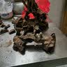 咪贝萌小鱼缸造景小摆件人物房子钓鱼翁水族箱装饰品微景观虾金鱼造景石 一寸渔翁 实拍图