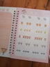 飒骄 儿童字帖幼儿园数字练字帖启蒙学前班3-6岁1初学者凹槽控笔训练描红练字本楷书小学生jm9 数字+拼音+汉字 实拍图
