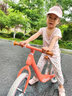 KinderKraftkk平衡车儿童滑步车无脚踏自行车宝宝小孩婴幼儿滑行车1-3岁 玫瑰红充气款-欧洲同步 实拍图